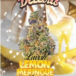 buy dezzerts lavish lemon meringue mirage