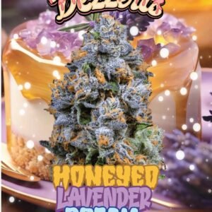 dezzerts honeyeo lavender dream
