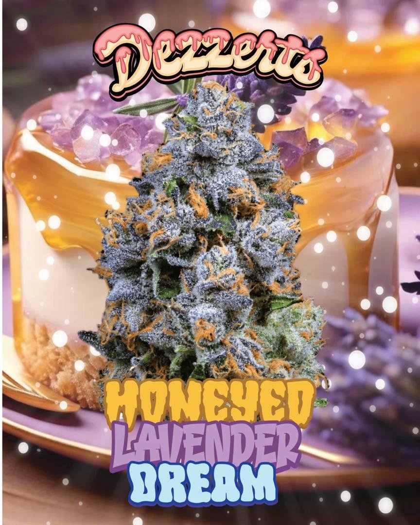 dezzerts honeyeo lavender dream