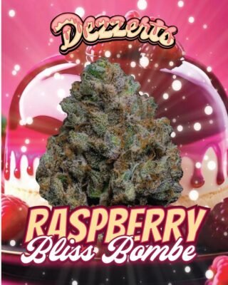 dezzerts raspberry bliss bombe